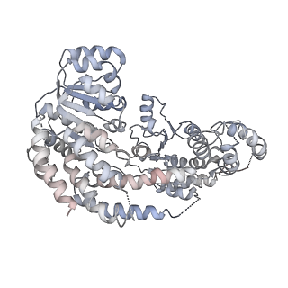 6700_5x0y_O_v1-3
Complex of Snf2-Nucleosome complex with Snf2 bound to SHL2 of the nucleosome
