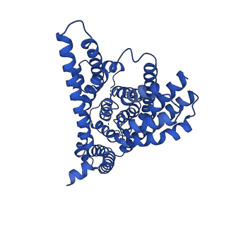 21986_6x12_A_v1-1
Inward-facing Apo-open state of the glutamate transporter homologue GltPh