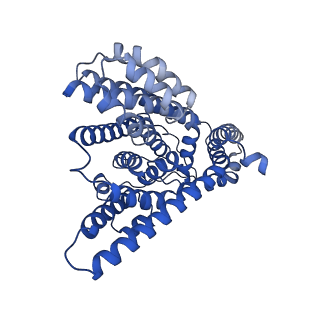 21988_6x14_B_v1-1
Inward-facing state of the glutamate transporter homologue GltPh in complex with TFB-TBOA