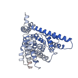 21990_6x16_B_v1-1
Inward-facing state of the glutamate transporter homologue GltPh in complex with TBOA