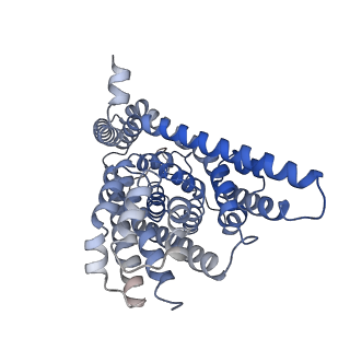 21990_6x16_B_v1-2
Inward-facing state of the glutamate transporter homologue GltPh in complex with TBOA
