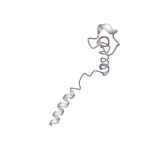 21994_6x1a_G_v1-2
Non peptide agonist PF-06882961, bound to Glucagon-Like peptide-1 (GLP-1) Receptor