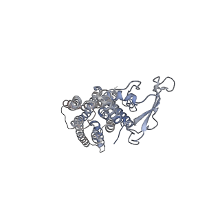 21994_6x1a_R_v1-2
Non peptide agonist PF-06882961, bound to Glucagon-Like peptide-1 (GLP-1) Receptor