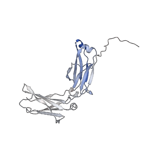32933_7x13_A_v1-0
Structure of IgG-Fc hexamer