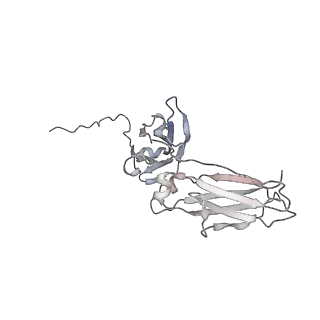 32933_7x13_J_v1-0
Structure of IgG-Fc hexamer
