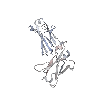 32933_7x13_K_v1-0
Structure of IgG-Fc hexamer