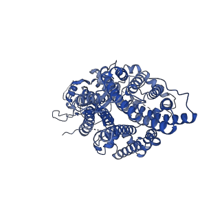 32940_7x1g_A_v1-1
Cryo-EM structure of human BTR1 in the inward-facing state at pH 5.5