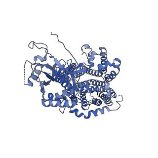 32941_7x1h_A_v1-1
Cryo-EM structure of human BTR1 in the inward-facing state with R125H mutation