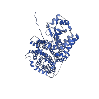 32942_7x1i_A_v1-0
Cryo-EM structure of human BTR1 in the outward-facing state.