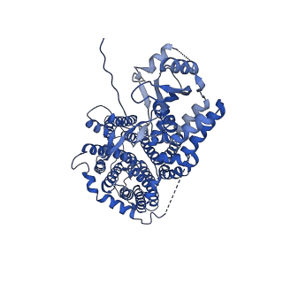 32943_7x1j_A_v1-0
Cryo-EM structure of human BTR1 in the outward-facing state in the presence of NH4Cl.