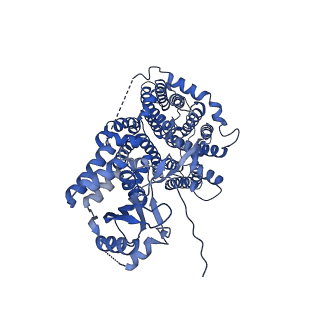 32943_7x1j_B_v1-0
Cryo-EM structure of human BTR1 in the outward-facing state in the presence of NH4Cl.