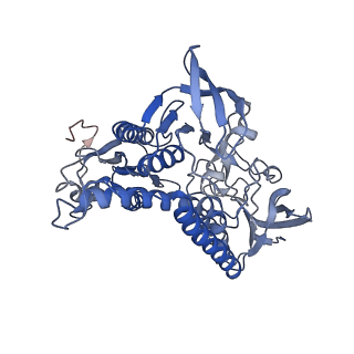 32947_7x1r_A_v1-0
Cryo-EM structure of human thioredoxin reductase bound by Au