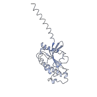 32949_7x1t_B_v1-1
Structure of Thyrotropin-Releasing Hormone Receptor bound with Taltirelin.