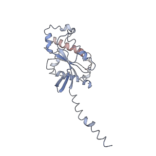 32950_7x1u_B_v1-1
Structure of Thyrotropin-Releasing Hormone Receptor bound with an Endogenous Peptide Agonist TRH.