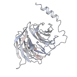 32950_7x1u_C_v1-1
Structure of Thyrotropin-Releasing Hormone Receptor bound with an Endogenous Peptide Agonist TRH.