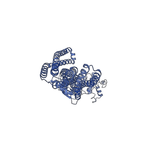 32951_7x1w_B_v1-0
Cryo-EM structure of human ABCD1 E630Q in the presence of ATP in inward-facing state