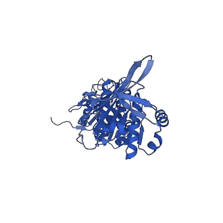 32952_7x1y_A_v1-1
Structure of the phosphorylation-site double mutant S431A/T432A of the KaiC circadian clock protein