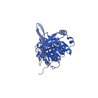 32952_7x1y_B_v1-1
Structure of the phosphorylation-site double mutant S431A/T432A of the KaiC circadian clock protein