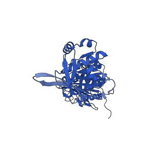 32952_7x1y_C_v1-1
Structure of the phosphorylation-site double mutant S431A/T432A of the KaiC circadian clock protein