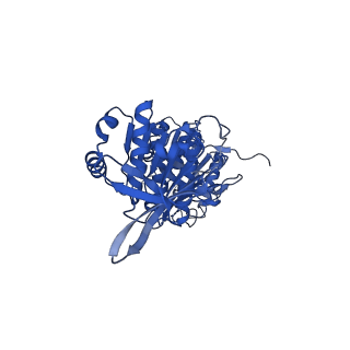32952_7x1y_D_v1-1
Structure of the phosphorylation-site double mutant S431A/T432A of the KaiC circadian clock protein
