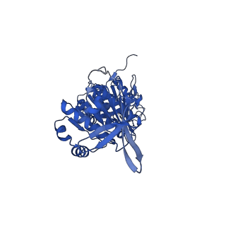 32952_7x1y_E_v1-1
Structure of the phosphorylation-site double mutant S431A/T432A of the KaiC circadian clock protein