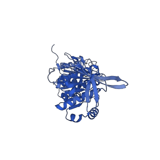 32952_7x1y_F_v1-1
Structure of the phosphorylation-site double mutant S431A/T432A of the KaiC circadian clock protein