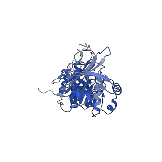 32953_7x1z_A_v1-1
Structure of the phosphorylation-site double mutant S431E/T432E of the KaiC circadian clock protein
