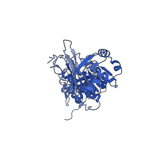 32953_7x1z_B_v1-1
Structure of the phosphorylation-site double mutant S431E/T432E of the KaiC circadian clock protein