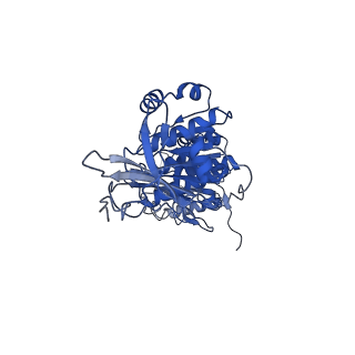 32953_7x1z_C_v1-1
Structure of the phosphorylation-site double mutant S431E/T432E of the KaiC circadian clock protein