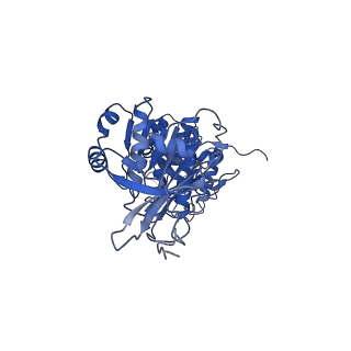 32953_7x1z_D_v1-1
Structure of the phosphorylation-site double mutant S431E/T432E of the KaiC circadian clock protein