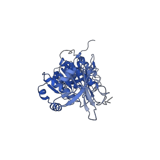 32953_7x1z_E_v1-1
Structure of the phosphorylation-site double mutant S431E/T432E of the KaiC circadian clock protein