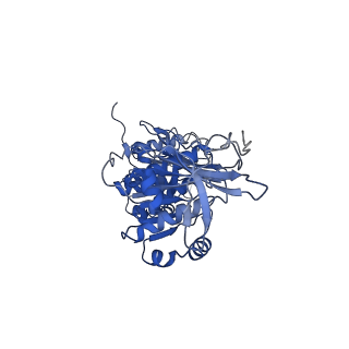 32953_7x1z_F_v1-1
Structure of the phosphorylation-site double mutant S431E/T432E of the KaiC circadian clock protein