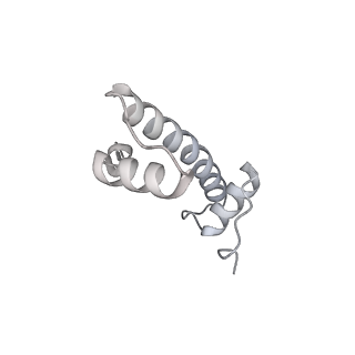 37984_8x15_D_v1-0
Structure of nucleosome-bound SRCAP-C in the apo state