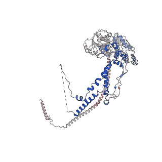 37984_8x15_I_v1-0
Structure of nucleosome-bound SRCAP-C in the apo state