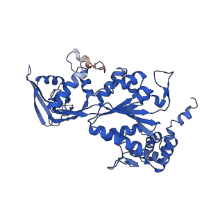 37984_8x15_M_v1-0
Structure of nucleosome-bound SRCAP-C in the apo state