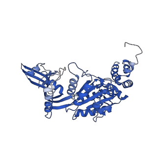 37984_8x15_N_v1-0
Structure of nucleosome-bound SRCAP-C in the apo state