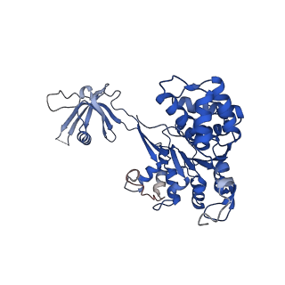 37984_8x15_P_v1-0
Structure of nucleosome-bound SRCAP-C in the apo state