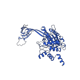 37984_8x15_Q_v1-0
Structure of nucleosome-bound SRCAP-C in the apo state