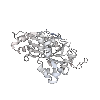 37984_8x15_S_v1-0
Structure of nucleosome-bound SRCAP-C in the apo state