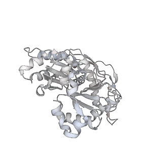 37984_8x15_T_v1-0
Structure of nucleosome-bound SRCAP-C in the apo state