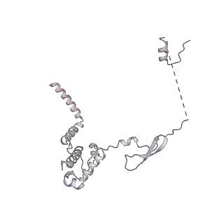 37984_8x15_V_v1-0
Structure of nucleosome-bound SRCAP-C in the apo state