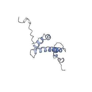 37988_8x19_A_v1-0
Structure of nucleosome-bound SRCAP-C in the ADP-BeFx-bound state