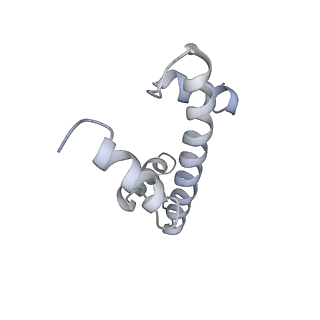 37988_8x19_C_v1-0
Structure of nucleosome-bound SRCAP-C in the ADP-BeFx-bound state