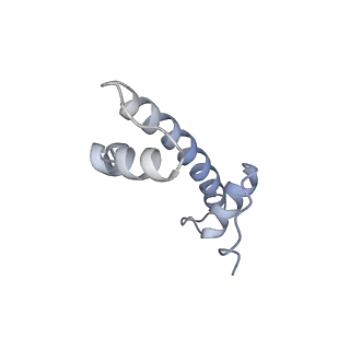 37988_8x19_D_v1-0
Structure of nucleosome-bound SRCAP-C in the ADP-BeFx-bound state