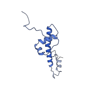 37988_8x19_E_v1-0
Structure of nucleosome-bound SRCAP-C in the ADP-BeFx-bound state