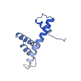 37988_8x19_F_v1-0
Structure of nucleosome-bound SRCAP-C in the ADP-BeFx-bound state