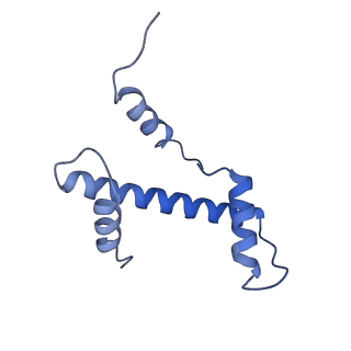 37988_8x19_G_v1-0
Structure of nucleosome-bound SRCAP-C in the ADP-BeFx-bound state