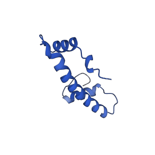 37988_8x19_H_v1-0
Structure of nucleosome-bound SRCAP-C in the ADP-BeFx-bound state