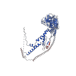 37988_8x19_I_v1-0
Structure of nucleosome-bound SRCAP-C in the ADP-BeFx-bound state