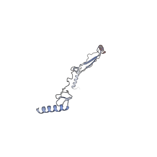 37988_8x19_J_v1-0
Structure of nucleosome-bound SRCAP-C in the ADP-BeFx-bound state
